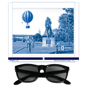 Good-Lite Bicycle Polarized Variable Vectograph