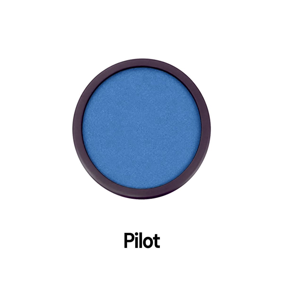 Good-Lite Pilot LEA® Panel 16: Color Chip - Replacement