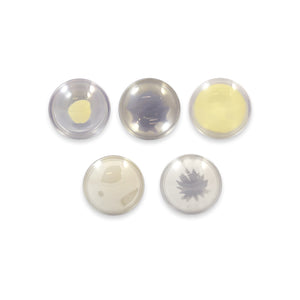 Good-Lite Educational Tools Eye Model: Cataract Lenses Set