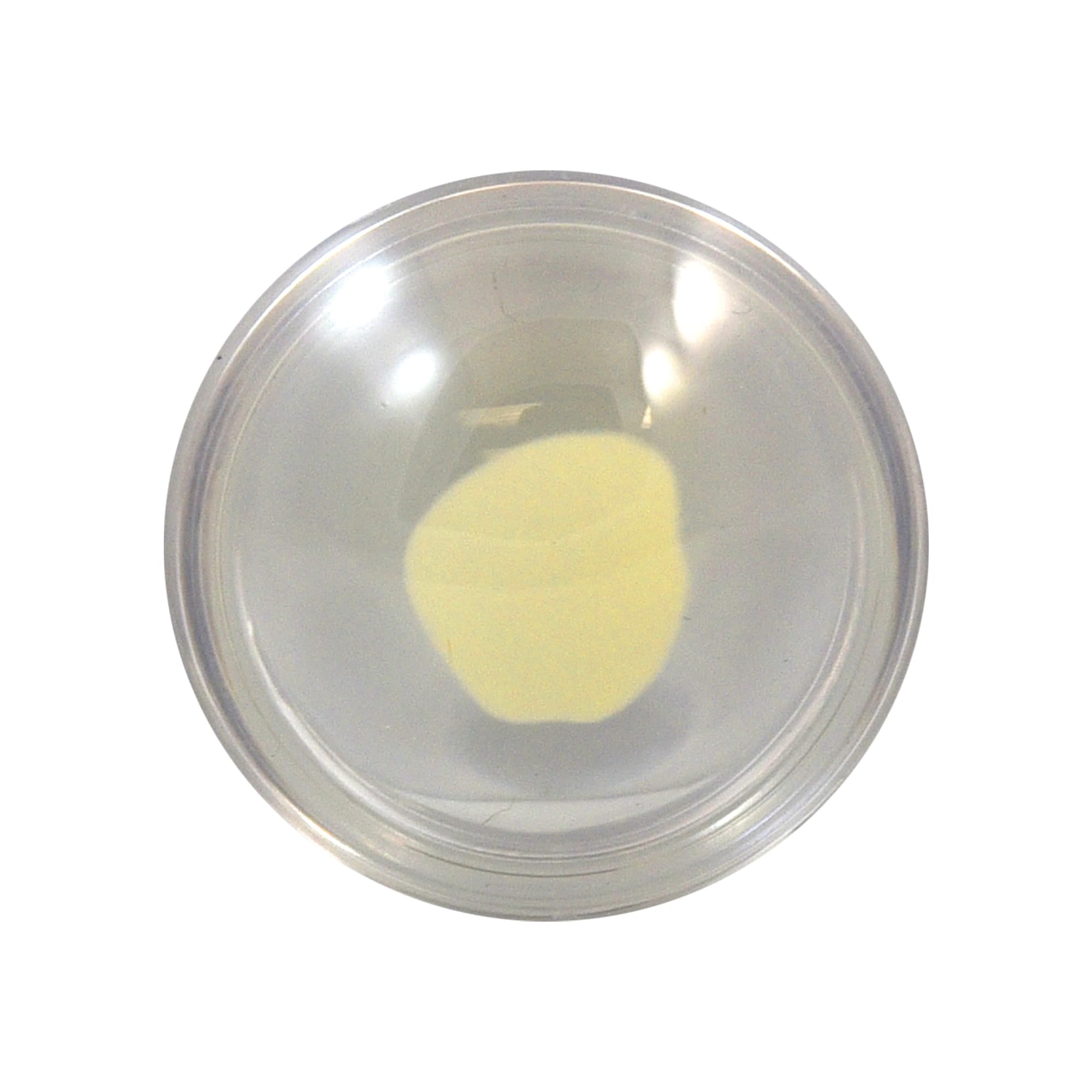 Good-Lite Educational Tools Eye Model: Cataract Lenses Set