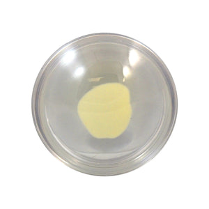 Good-Lite Educational Tools Eye Model: Cataract Lenses Set