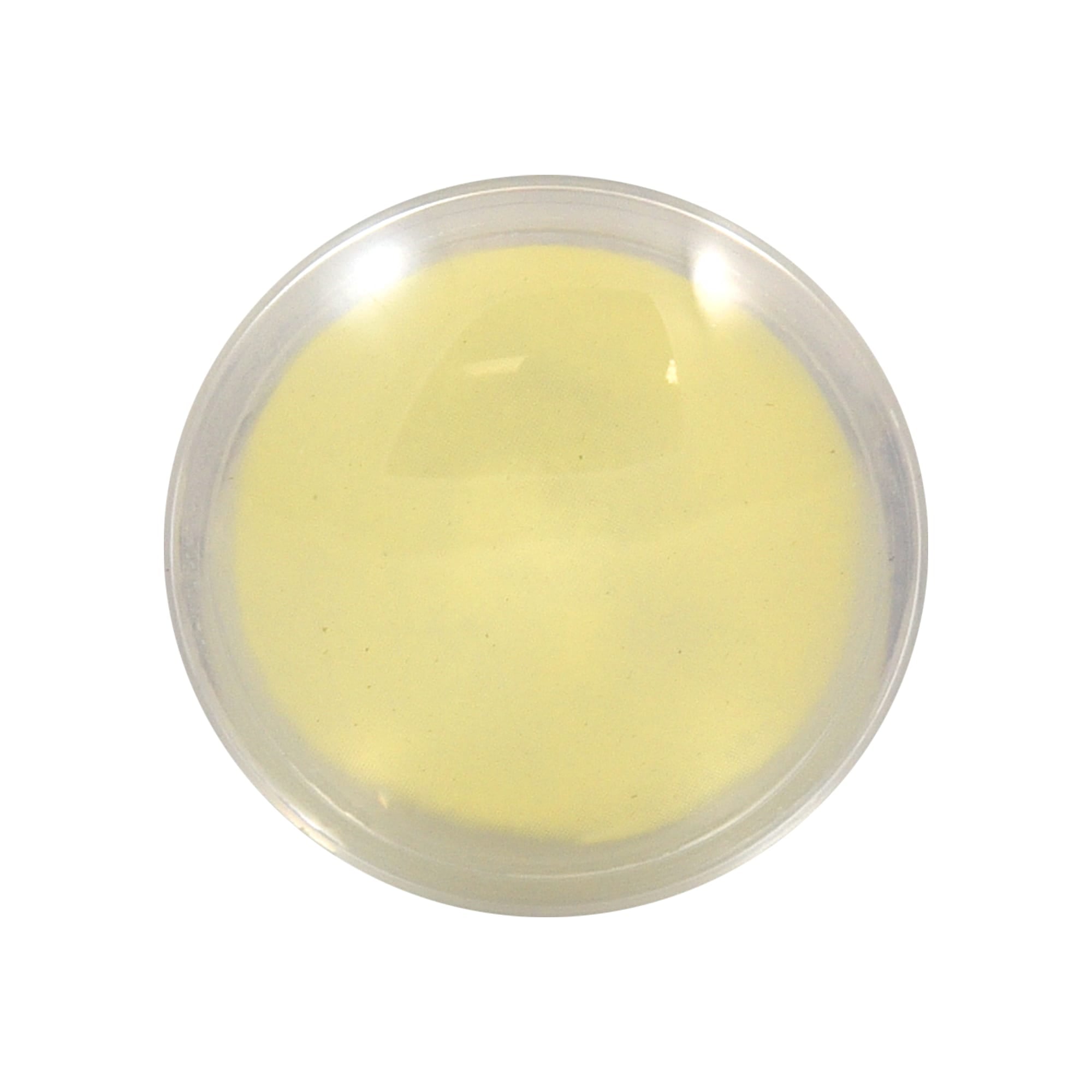 Good-Lite Educational Tools Eye Model: Cataract Lenses Set