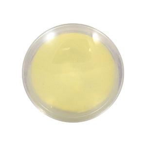Good-Lite Educational Tools Eye Model: Cataract Lenses Set
