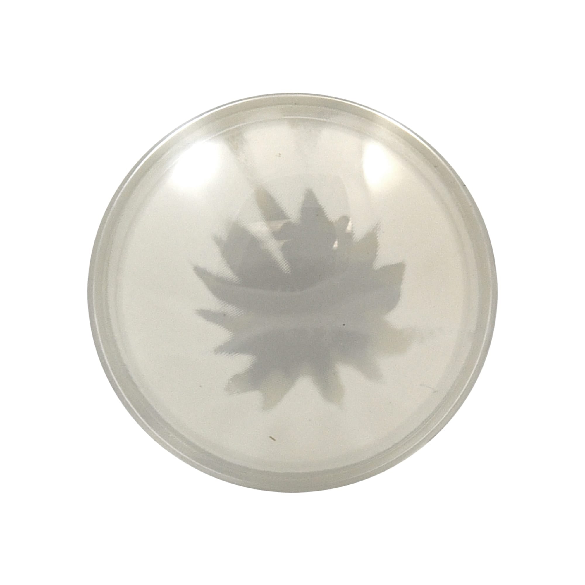 Good-Lite Educational Tools Eye Model: Cataract Lenses Set