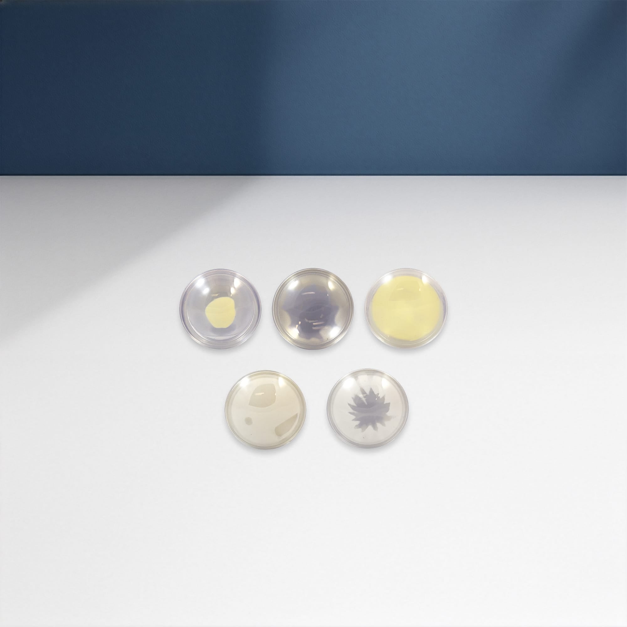Good-Lite Educational Tools Eye Model: Cataract Lenses Set