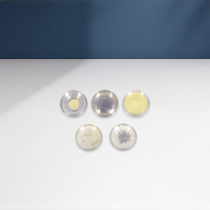 Good-Lite Educational Tools Eye Model: Cataract Lenses Set