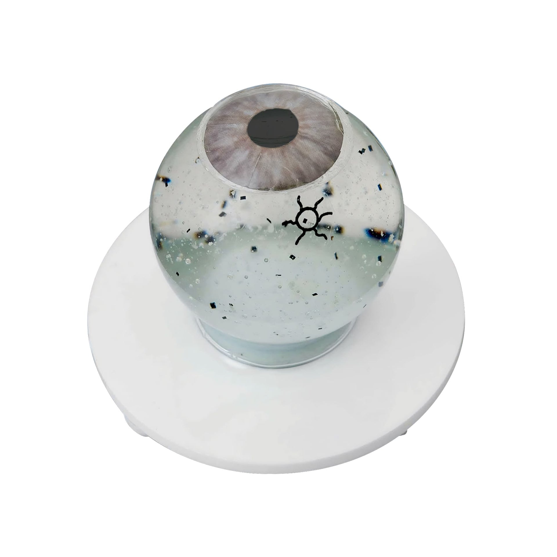 Good-Lite Educational Tools Eye Model: Siepser Vitreous Floater Demonstrator