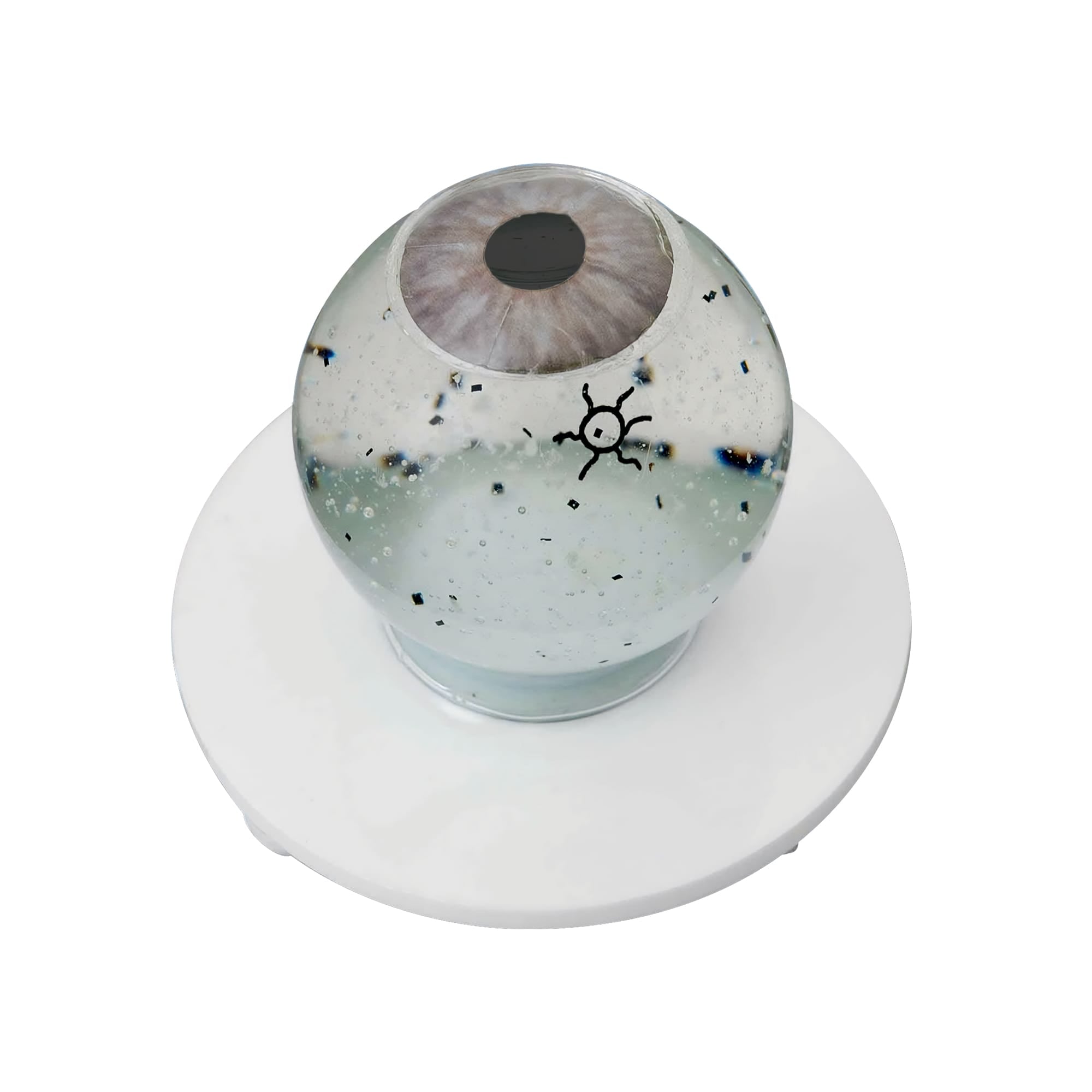 Good-Lite Educational Tools Eye Model: Siepser Vitreous Floater Demonstrator