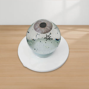 Good-Lite Educational Tools Eye Model: Siepser Vitreous Floater Demonstrator