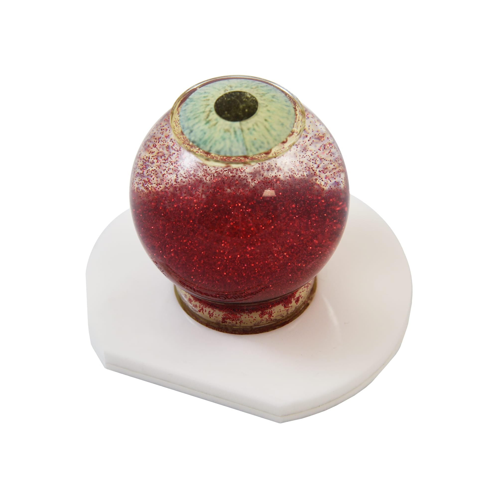Good-Lite Educational Tools Eye Model: Siepser Vitreous Hemorrhage Demonstrator