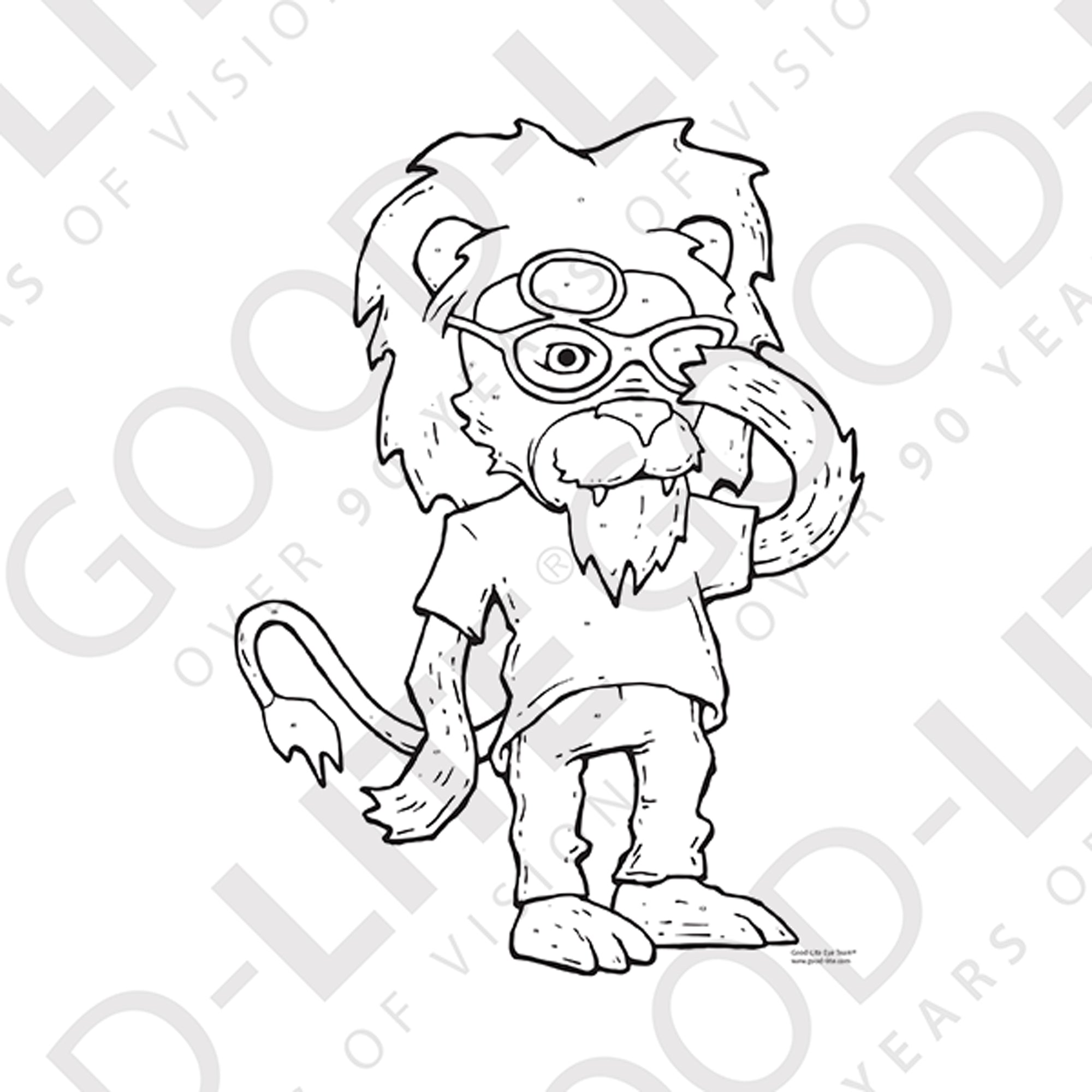 Good-Lite Good-Lite Eye Team® Coloring Rock Game
