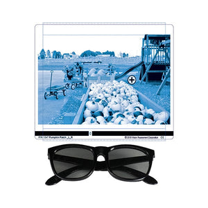 Good-Lite Pumpkin Patch Polarized Variable Vectograph Vision Therapy System