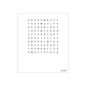 Good-Lite Therapeutic Aids Z-Axis Accommodative Rock Chart: Opaque Near Cards, Single Z-Axis Accommodative Rock Charts